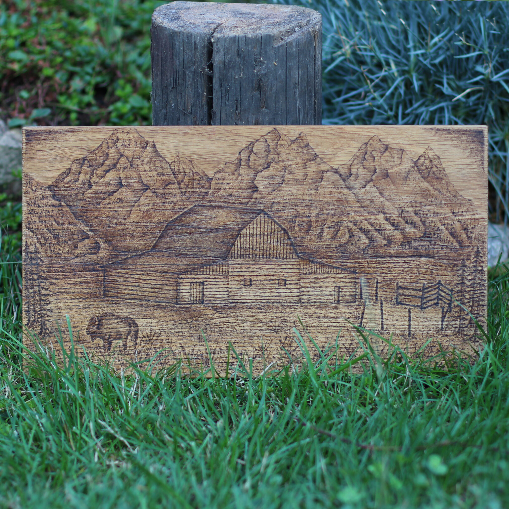 Grand Teton barn - Dub 2017