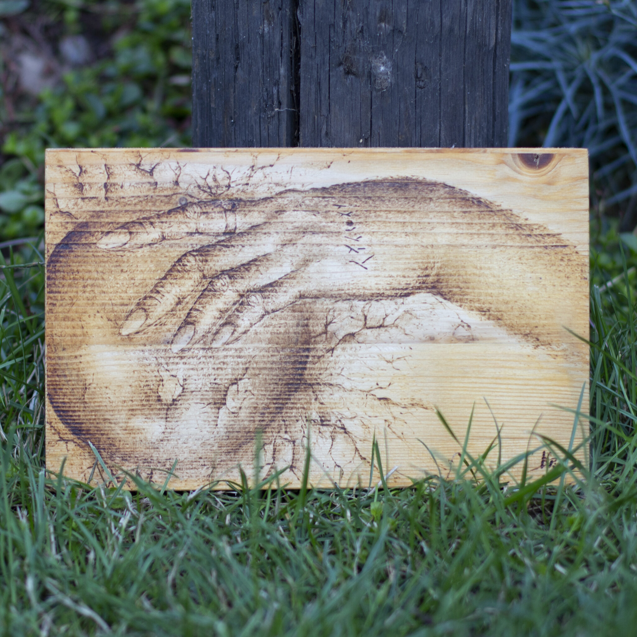 Nahlédnutí - Smrk 2020