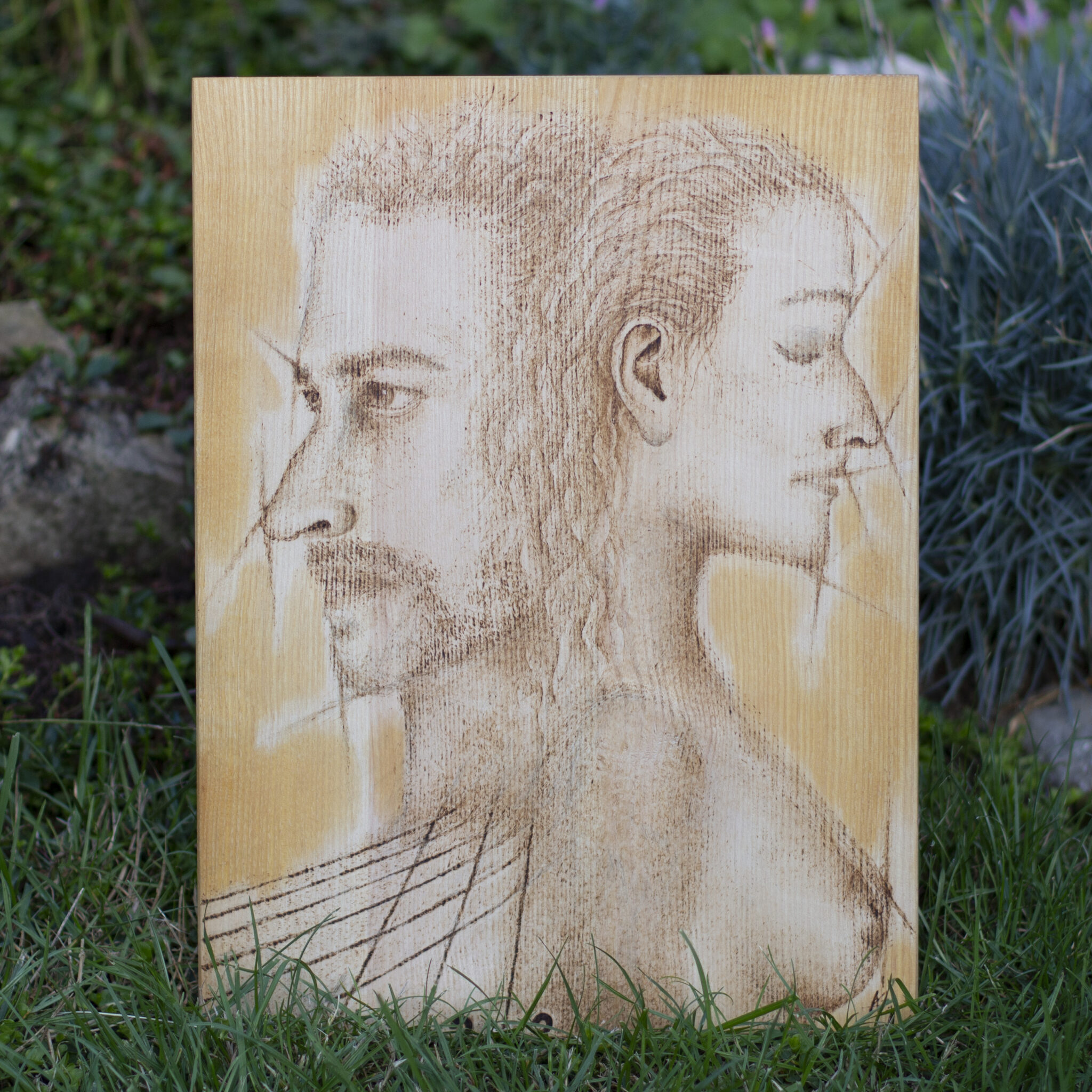 Porovnání - Jasan 2020