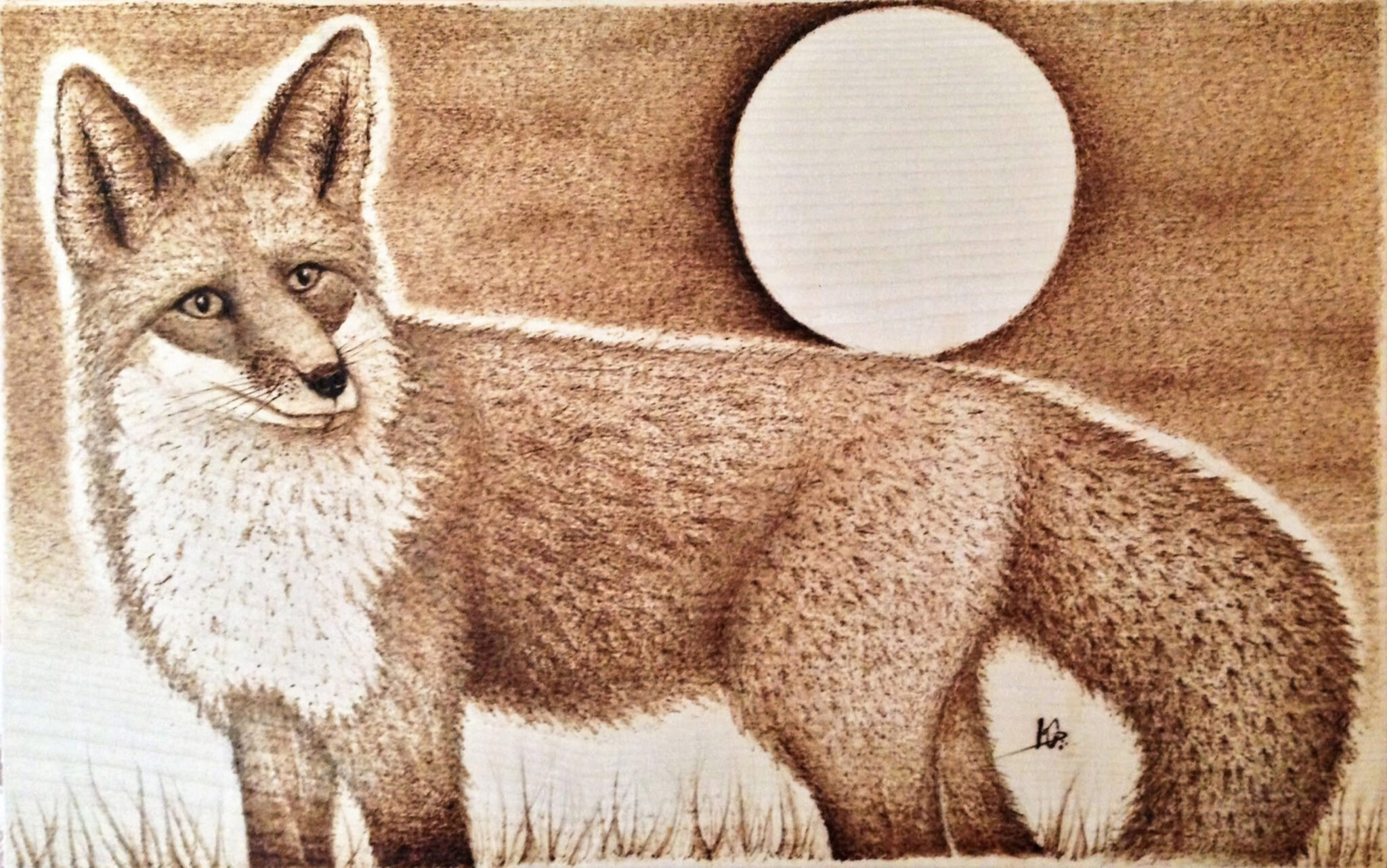 Noční lovec - Javor 2017