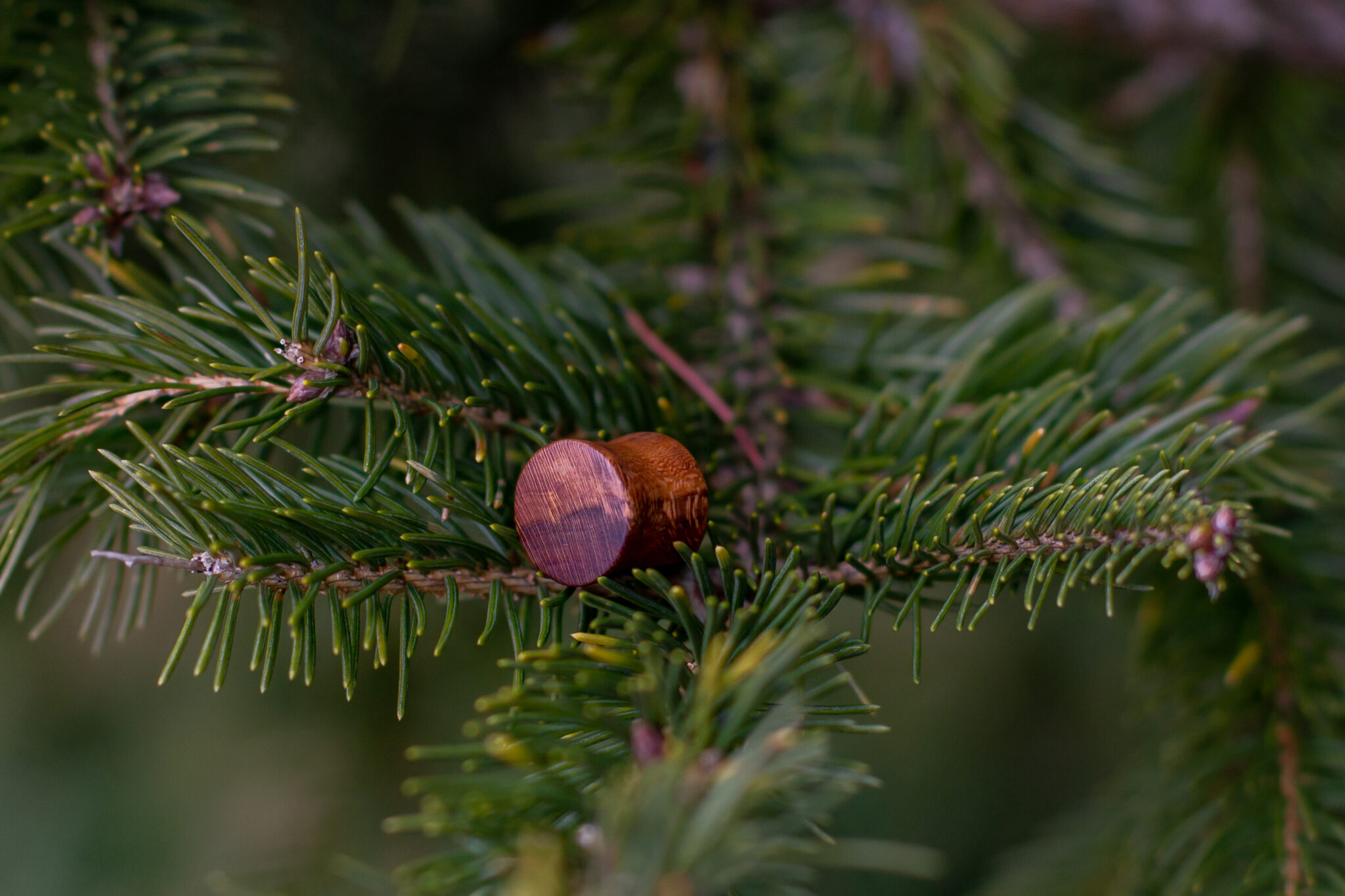 Plug do ucha Třešeň - 2021