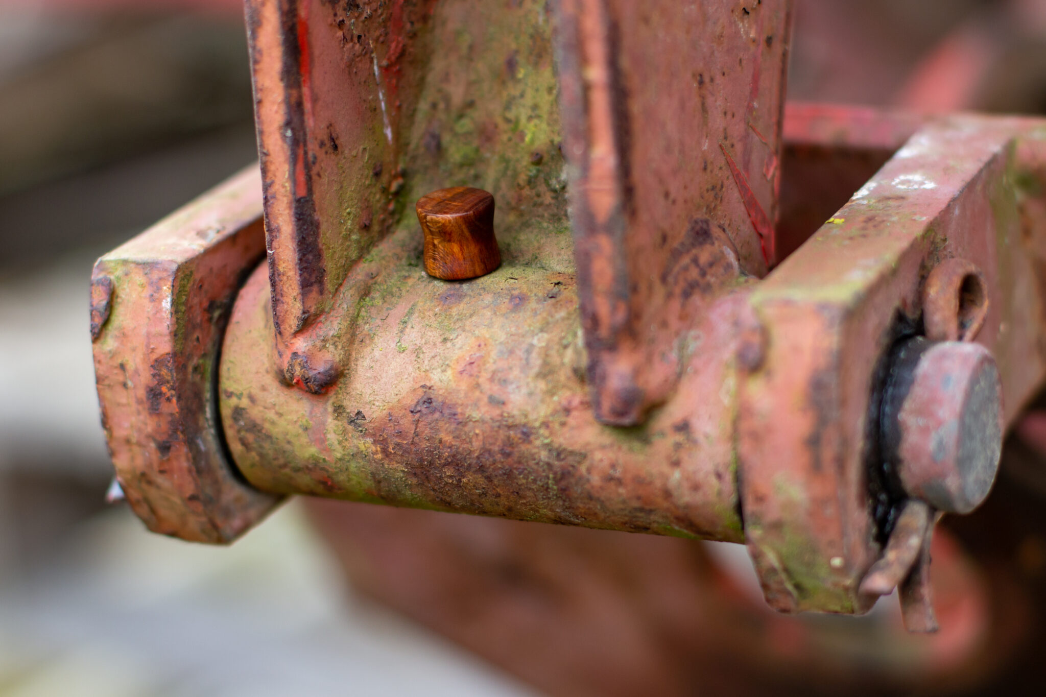 Plug do ucha Třešeň - 2021