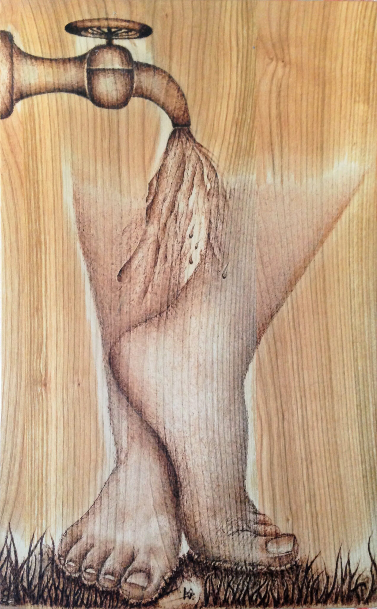 Svěžest - Třešeň 2017