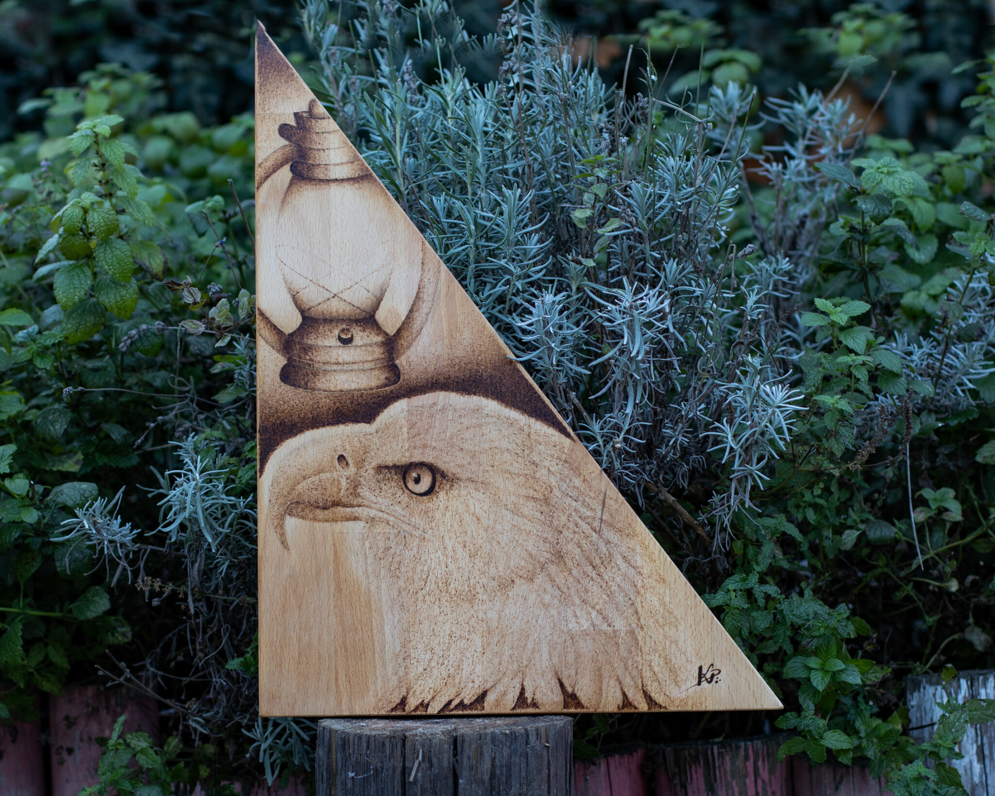 Instinkt a Intuice - Dub 2018