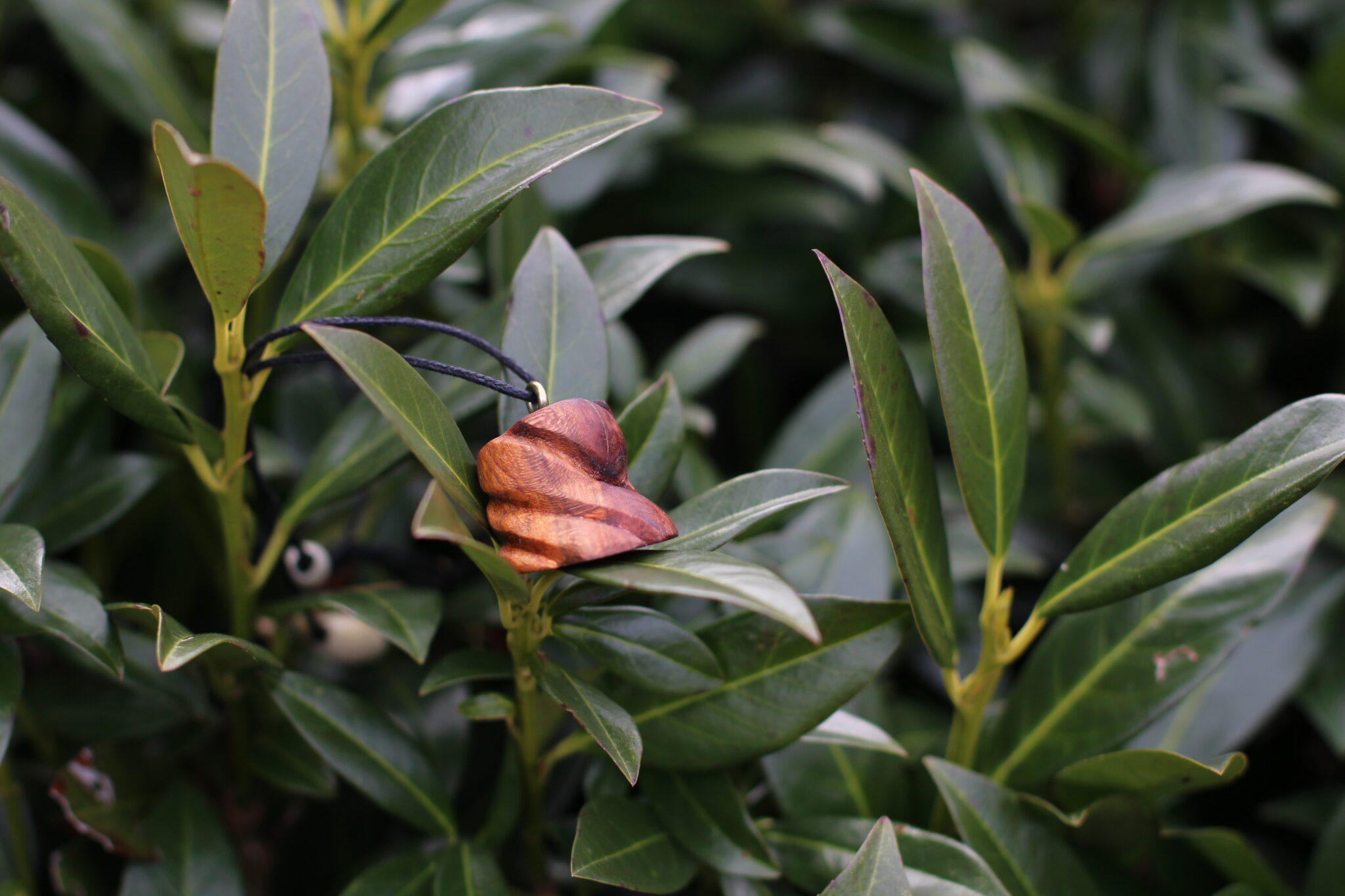 Amulet č.1 Třešeň - 2021