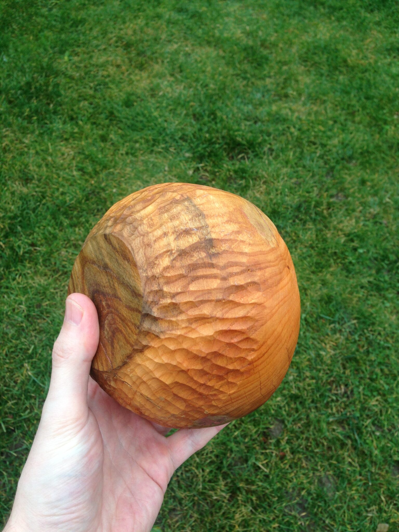 Miska č.1 Třešeň - 2020