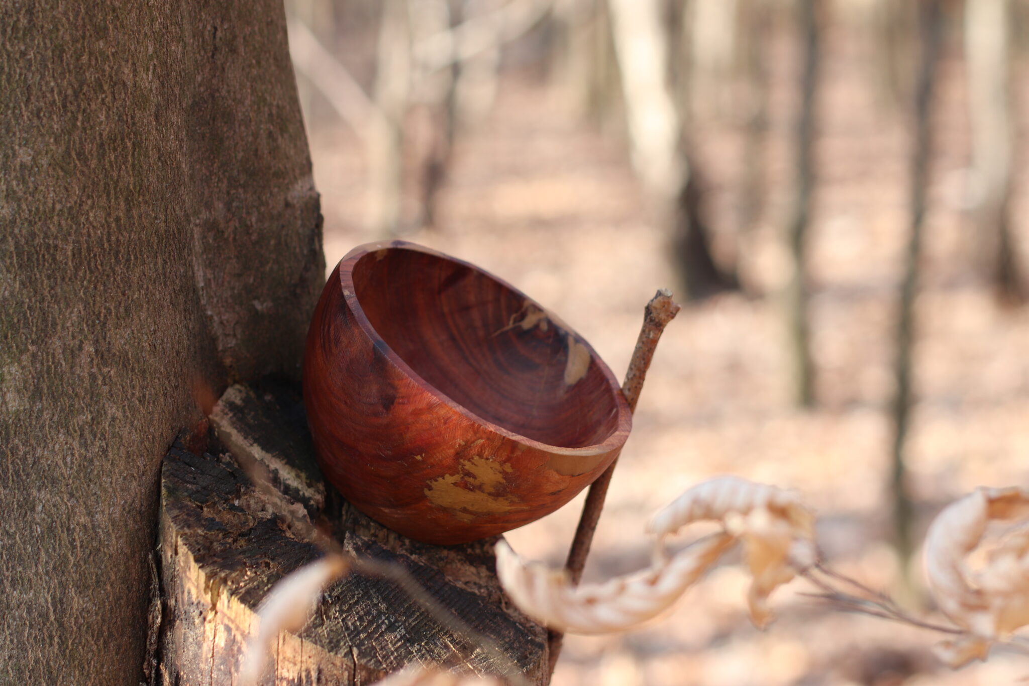 Miska č.3 Trnka - 2021