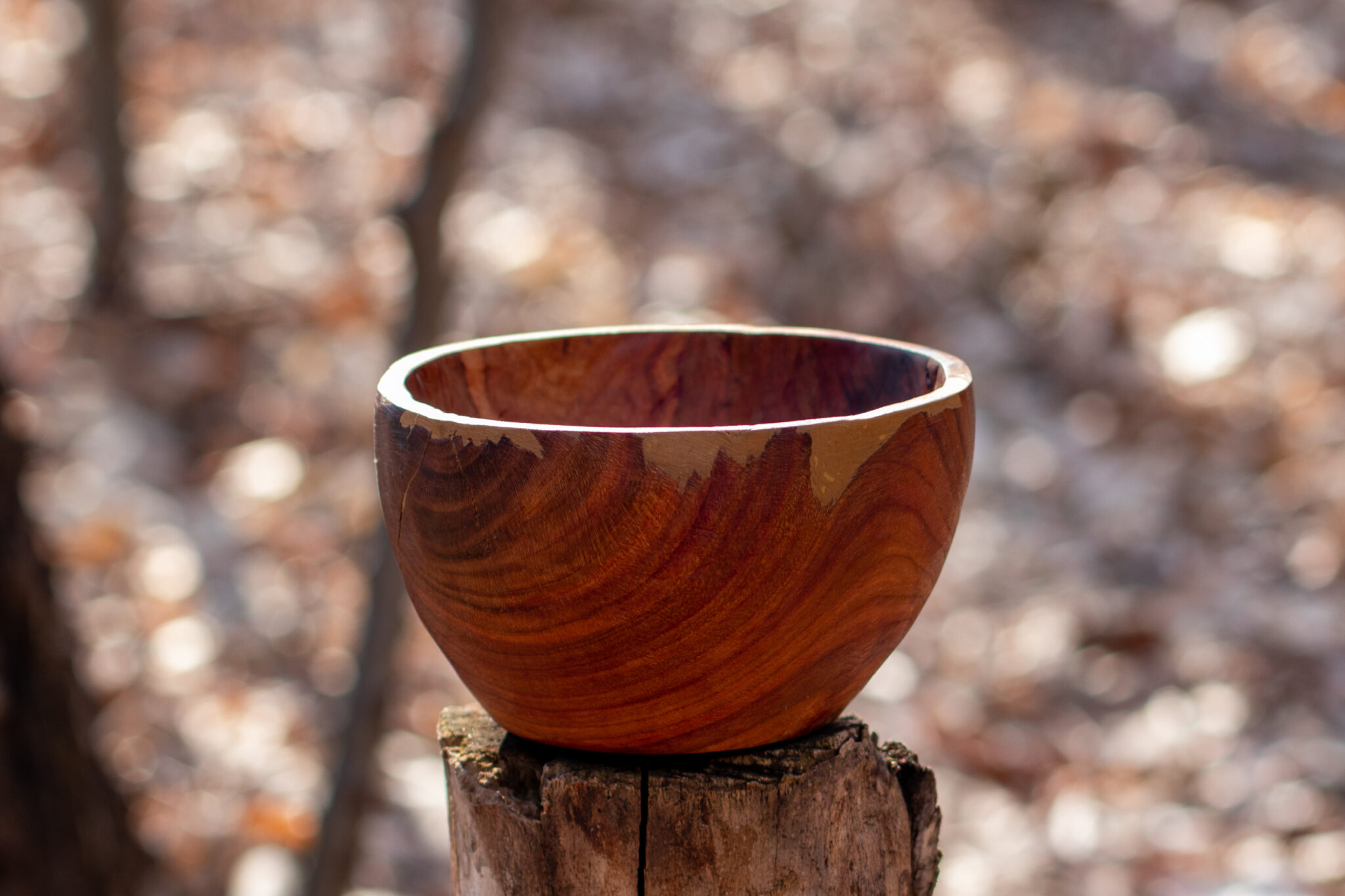 Miska č.3 Trnka - 2021