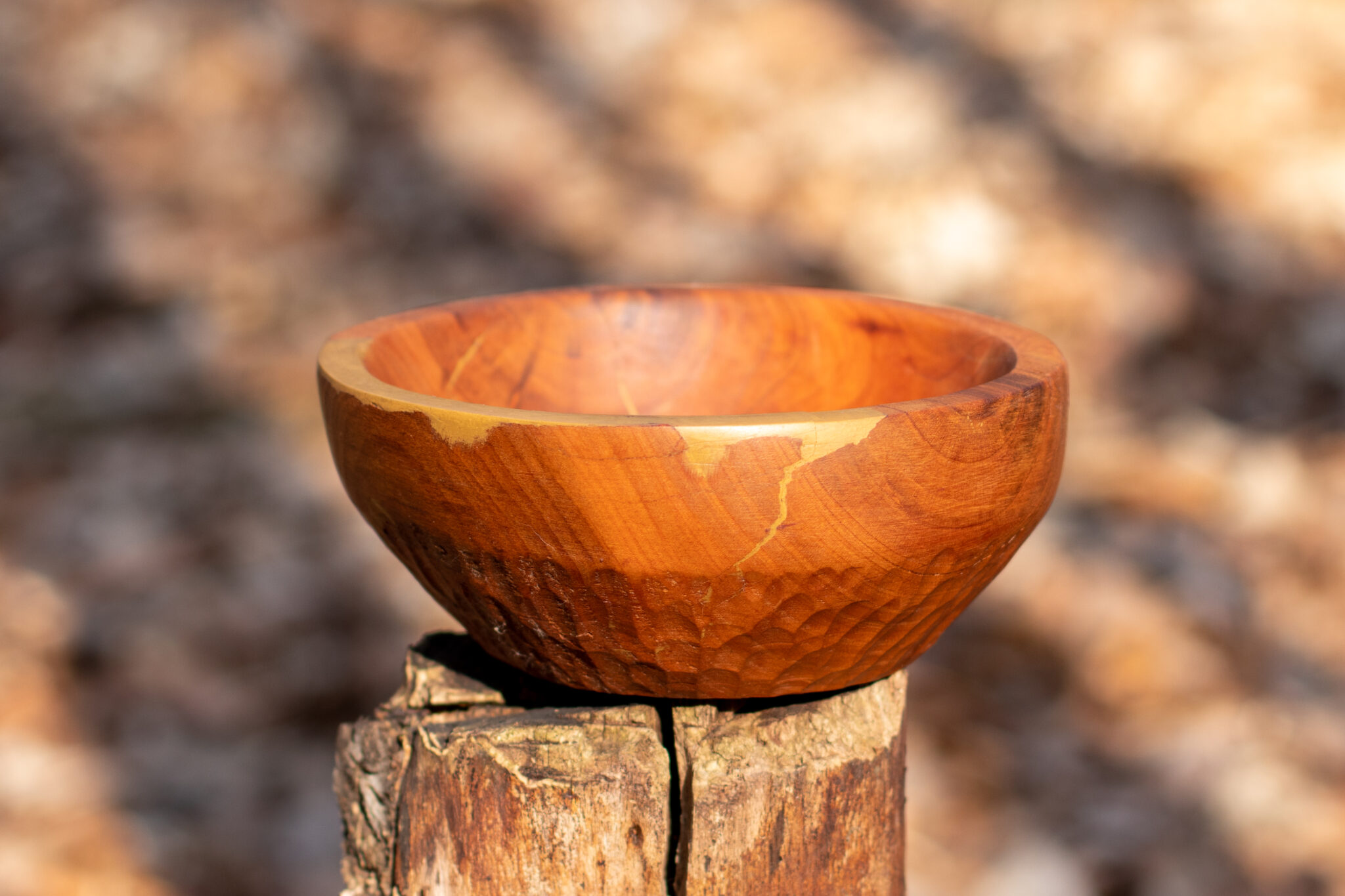 Miska č.2 Třešeň - 2021