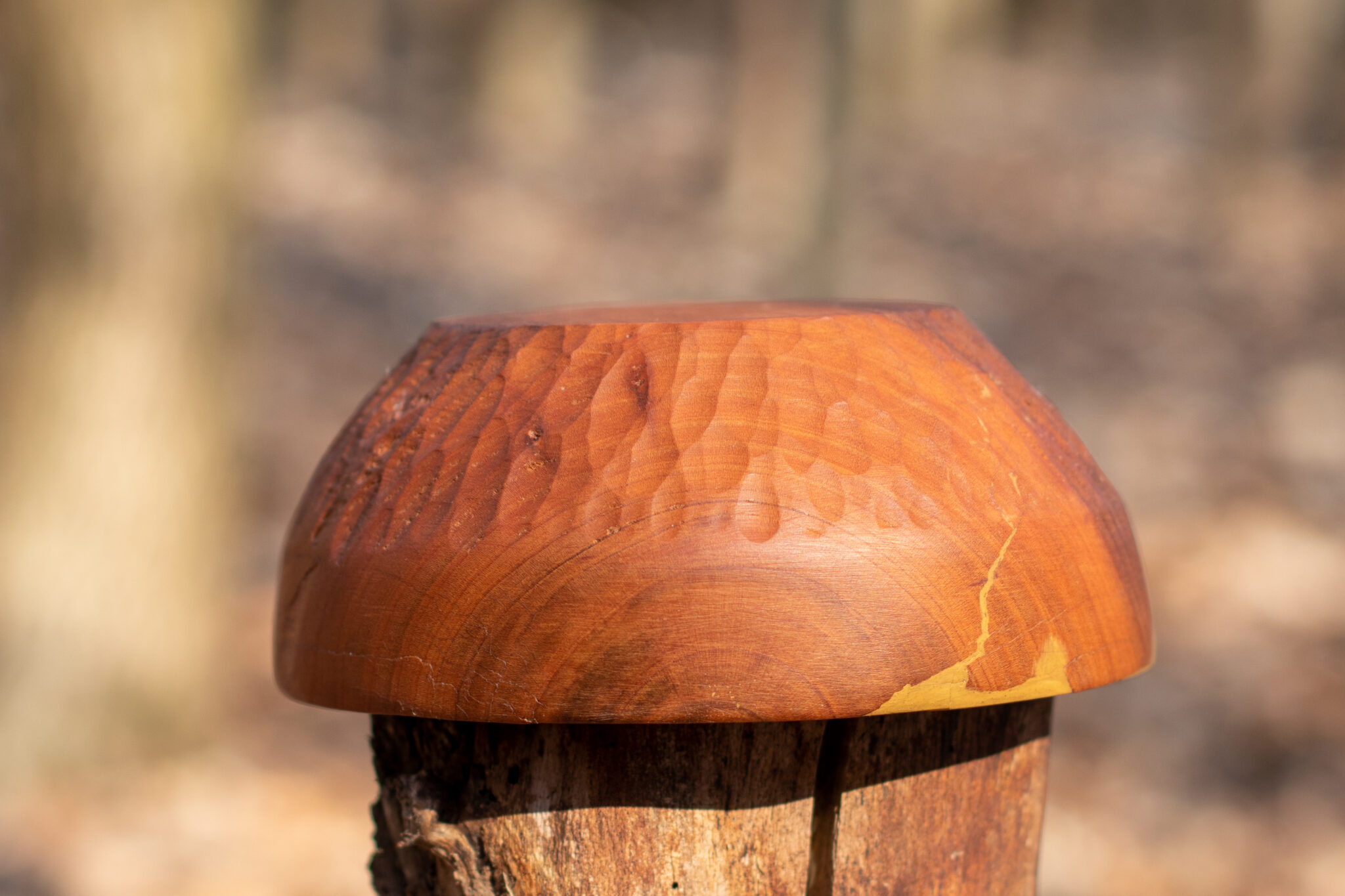 Miska č.2 Třešeň - 2021