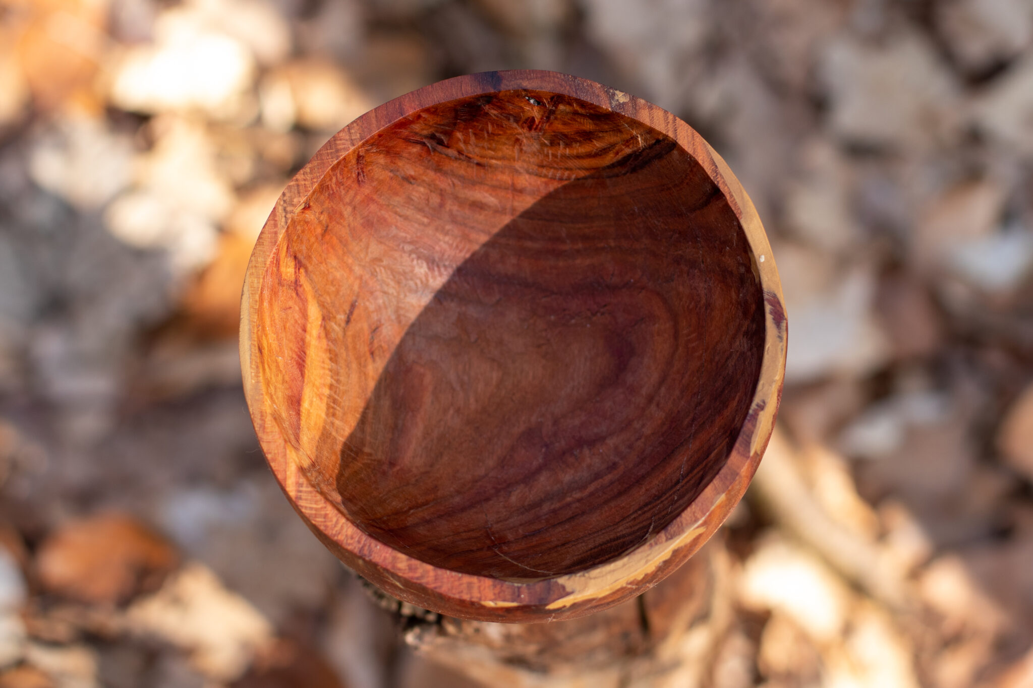 Miska č.3 Trnka - 2021