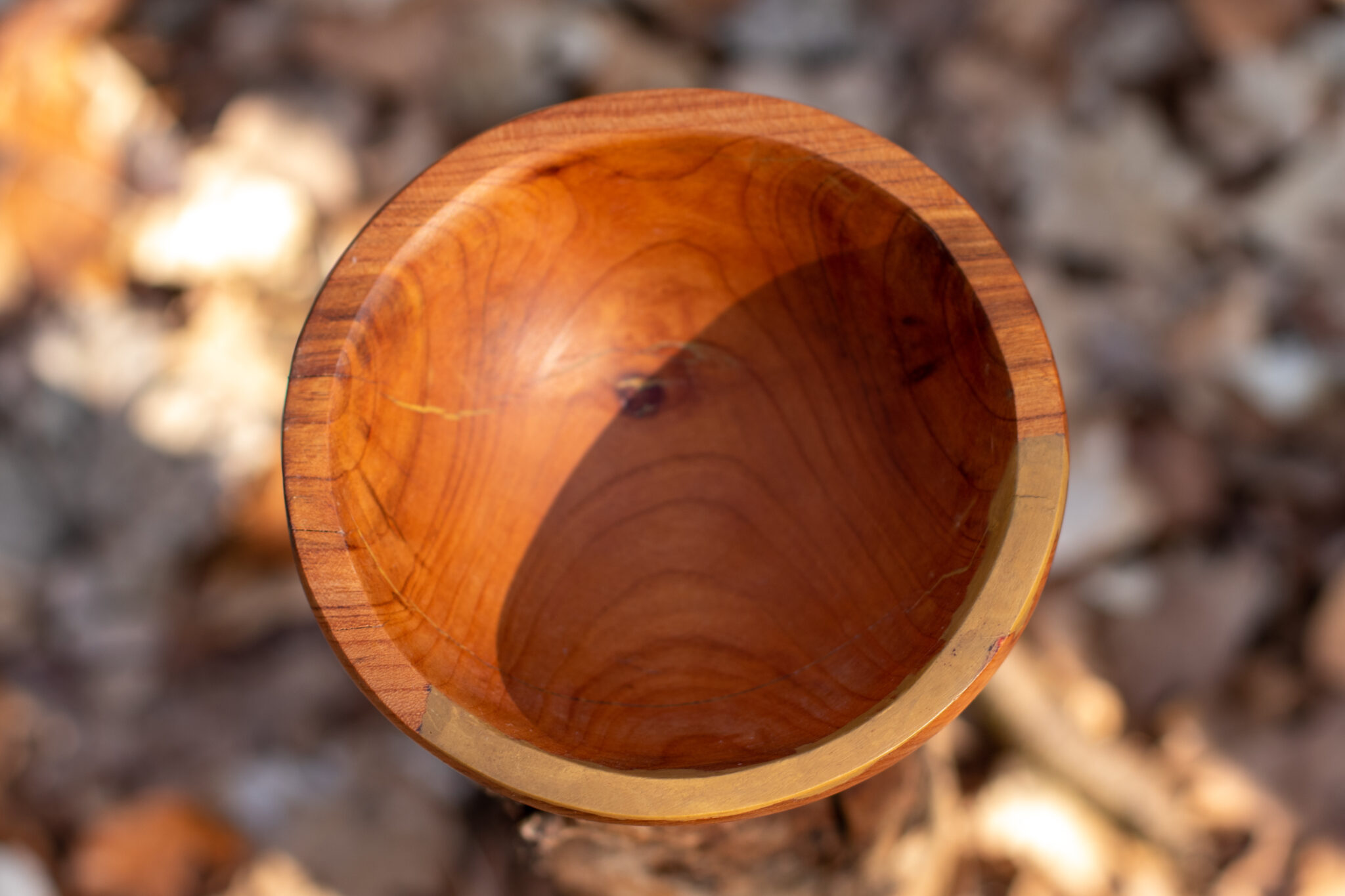 Miska č.2 Třešeň - 2021