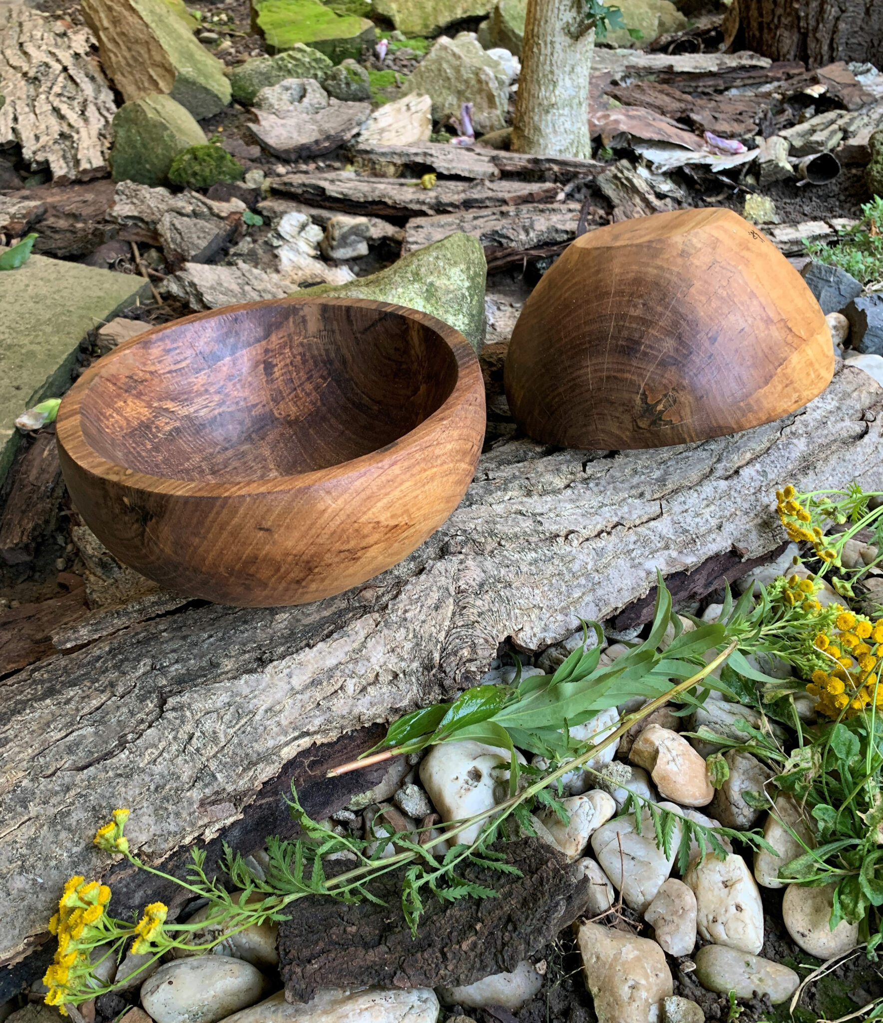 Miska č.6 a 7 Ořešáci - 2023