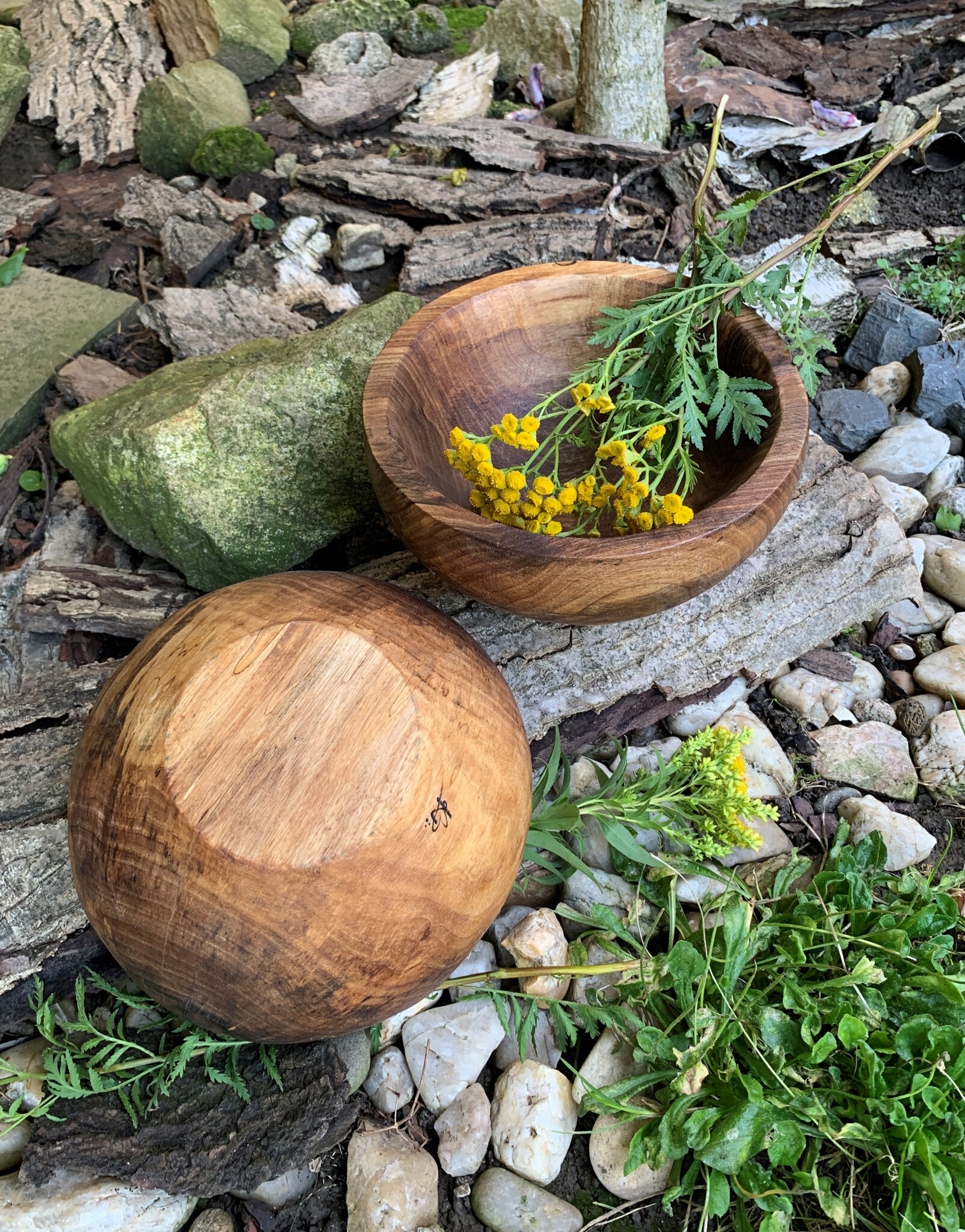 Miska č.6 a 7 Ořešáci - 2023