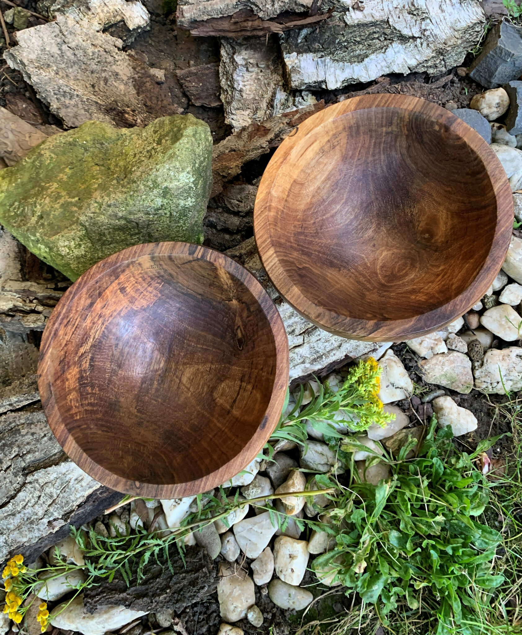 Miska č.6 a 7 Ořešáci - 2023