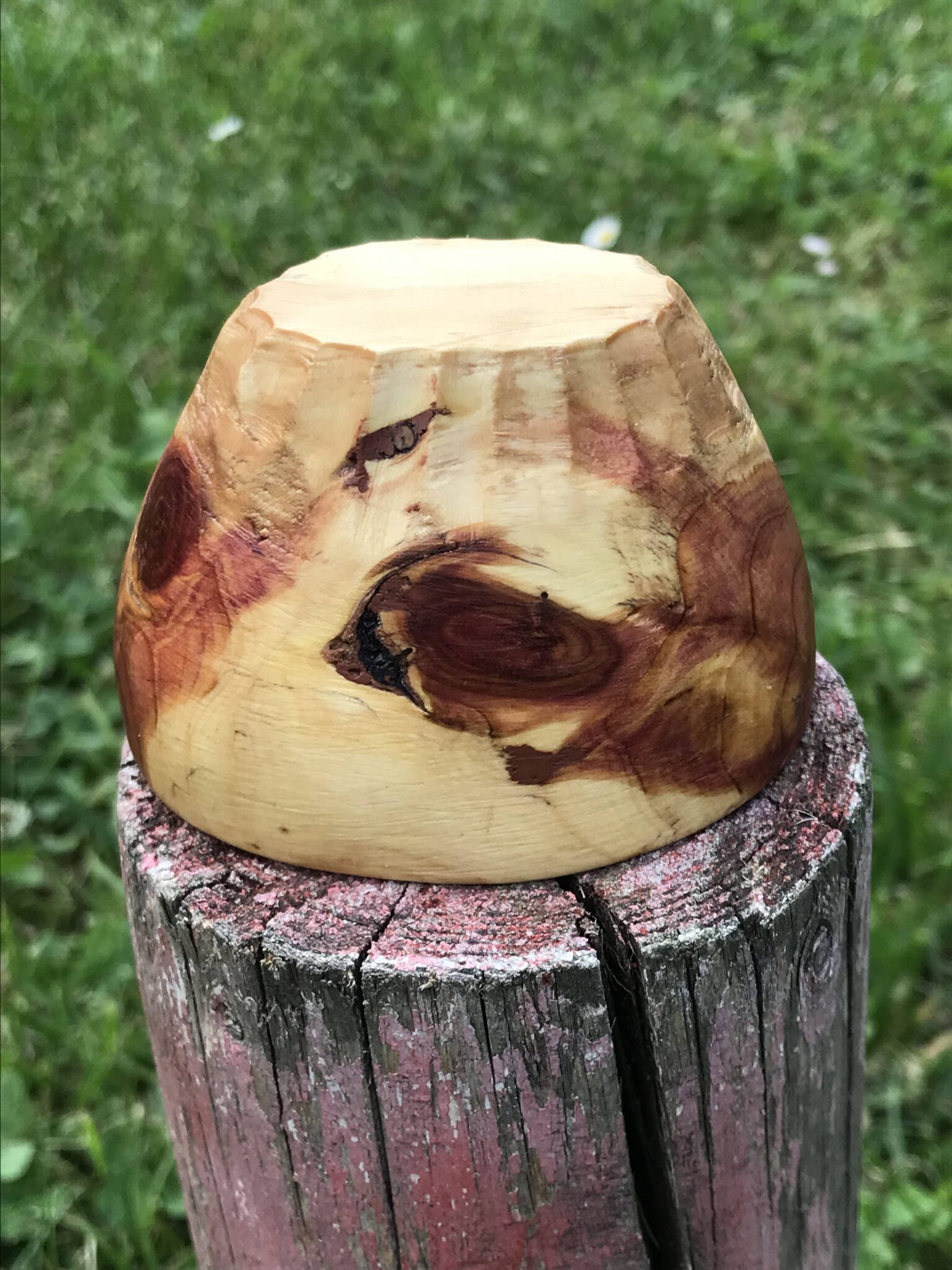 Miska č.5 Jalovica - 2023