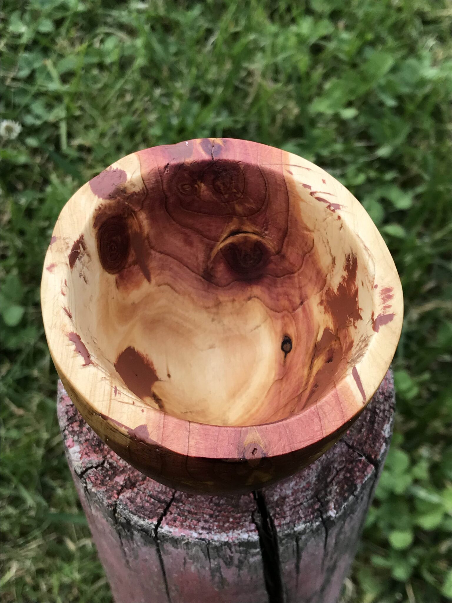 Miska č.5 Jalovica - 2023