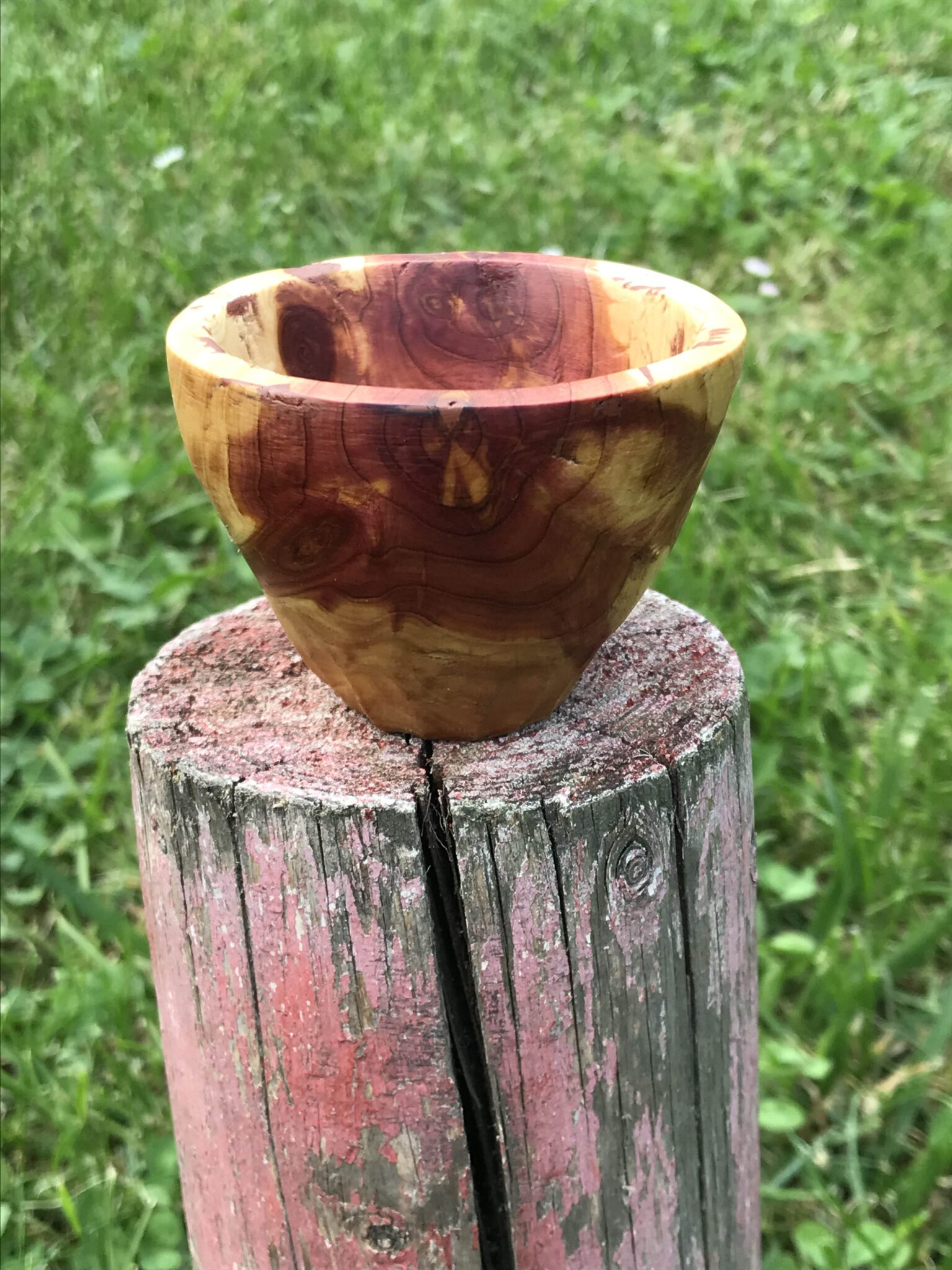 Miska č.5 Jalovica - 2023