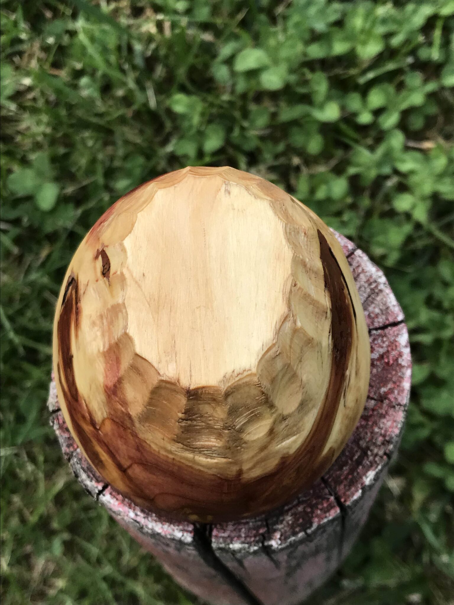 Miska č.5 Jalovica - 2023