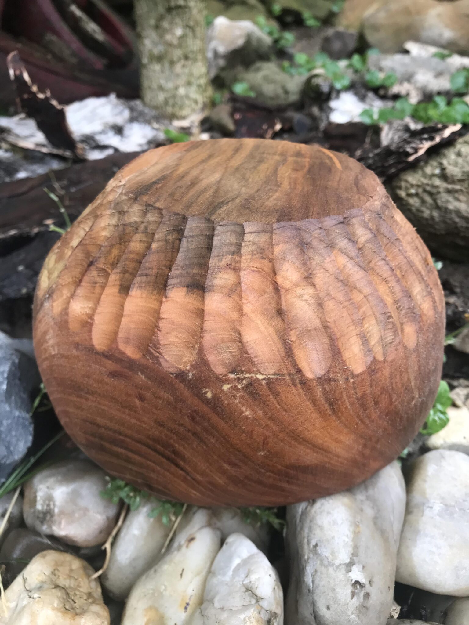 Miska č.4 Třešňa - 2022