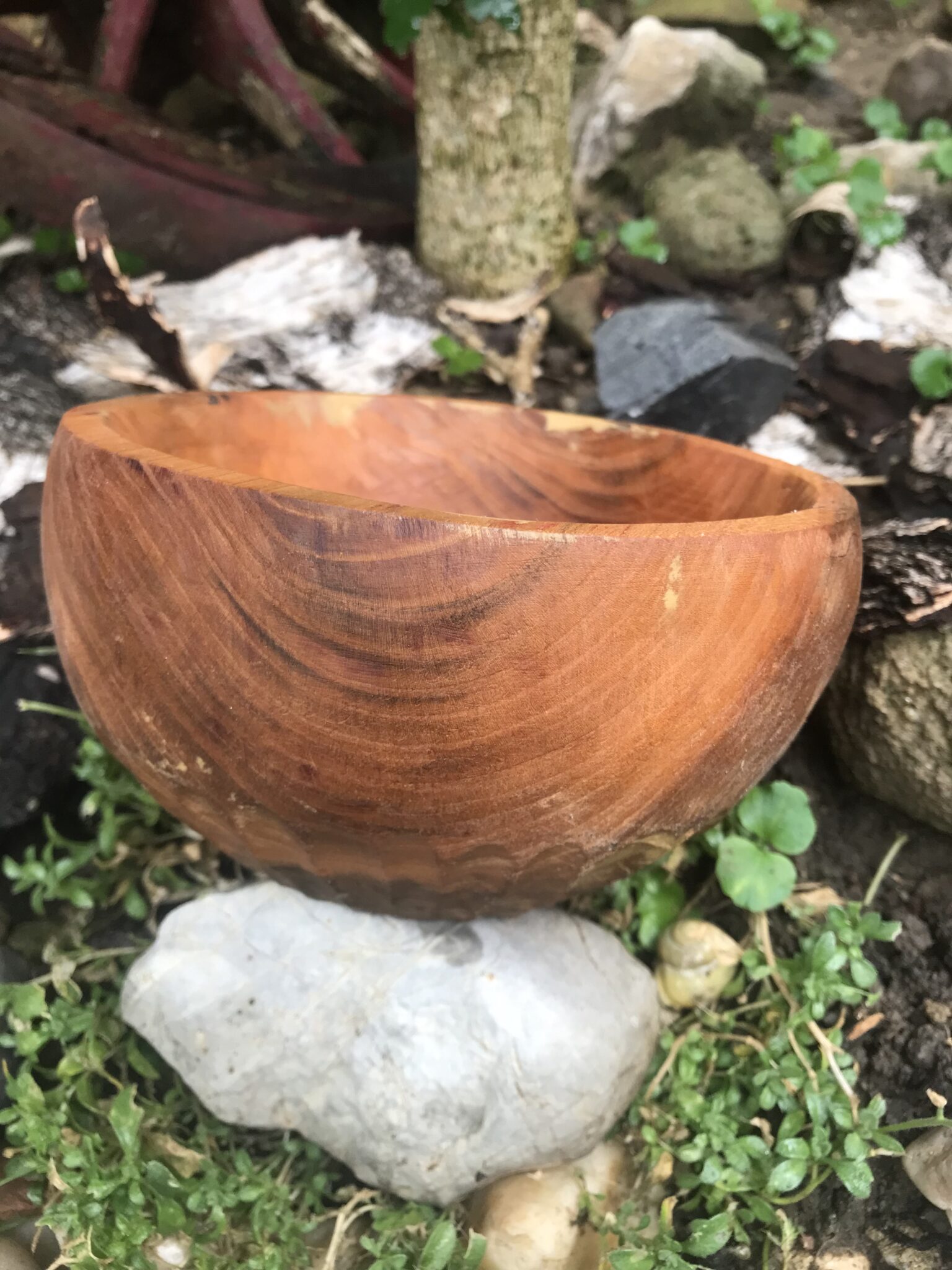 Miska č.4 Třešňa - 2022