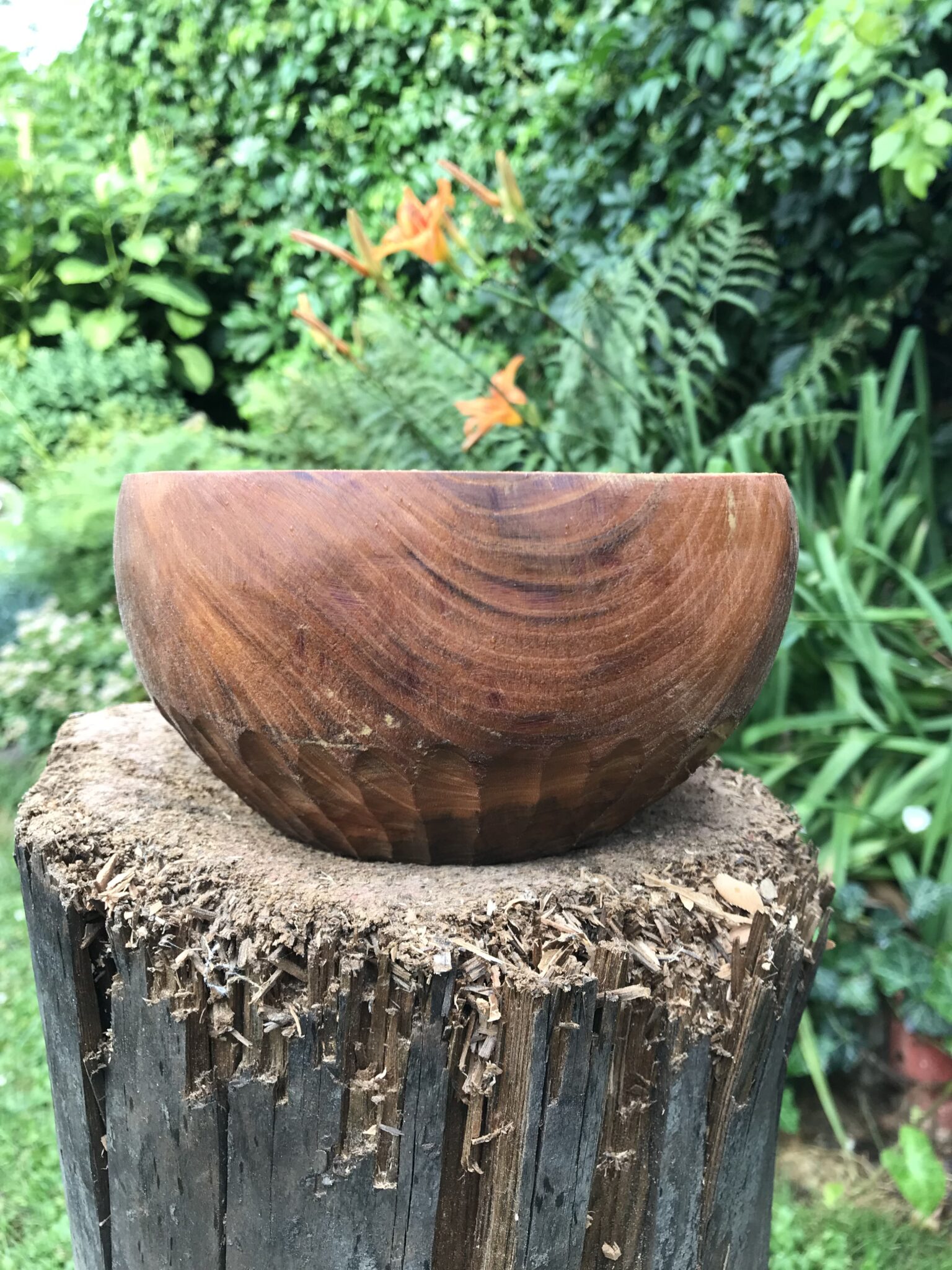 Miska č.4 Třešňa - 2022