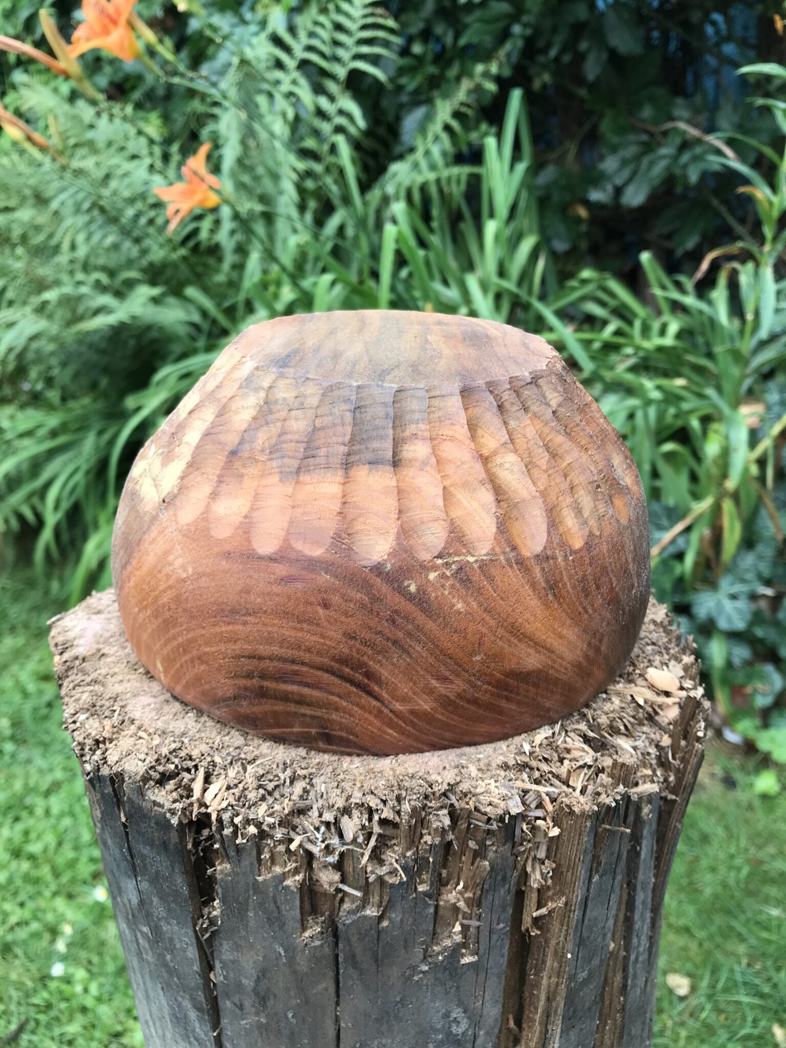 Miska č.4 Třešňa - 2022