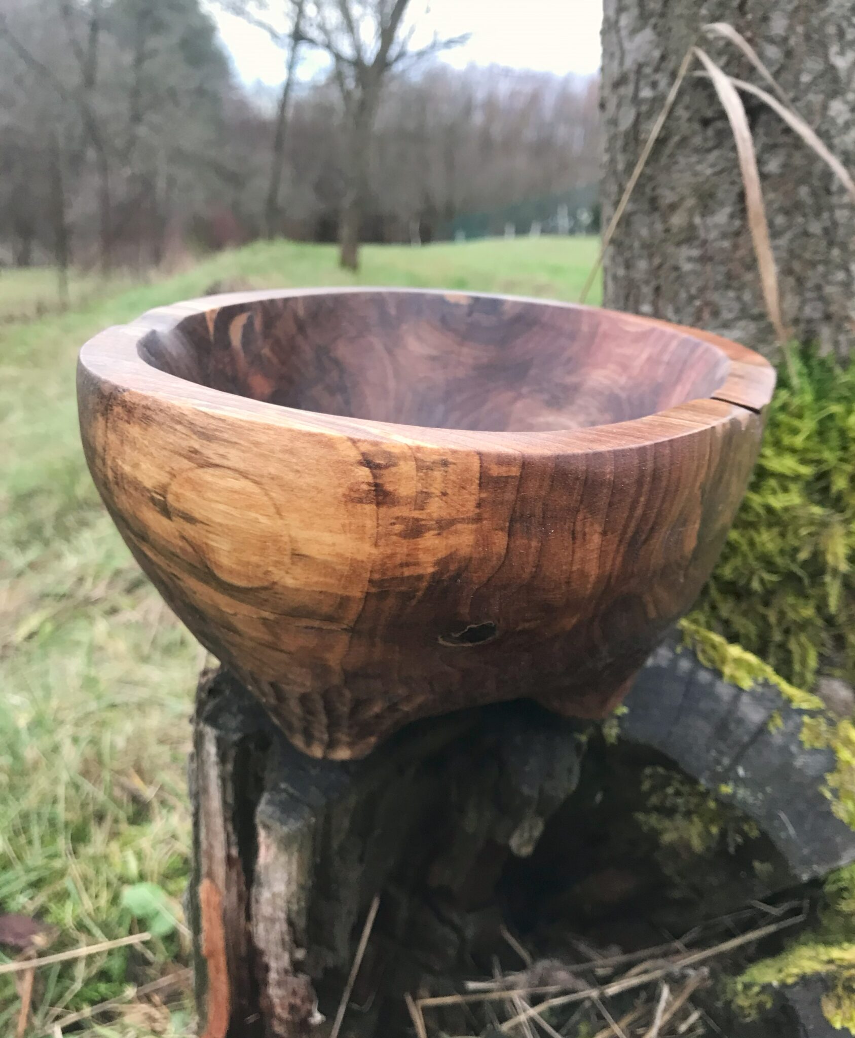 Miska č.8 Ořešák - 2023