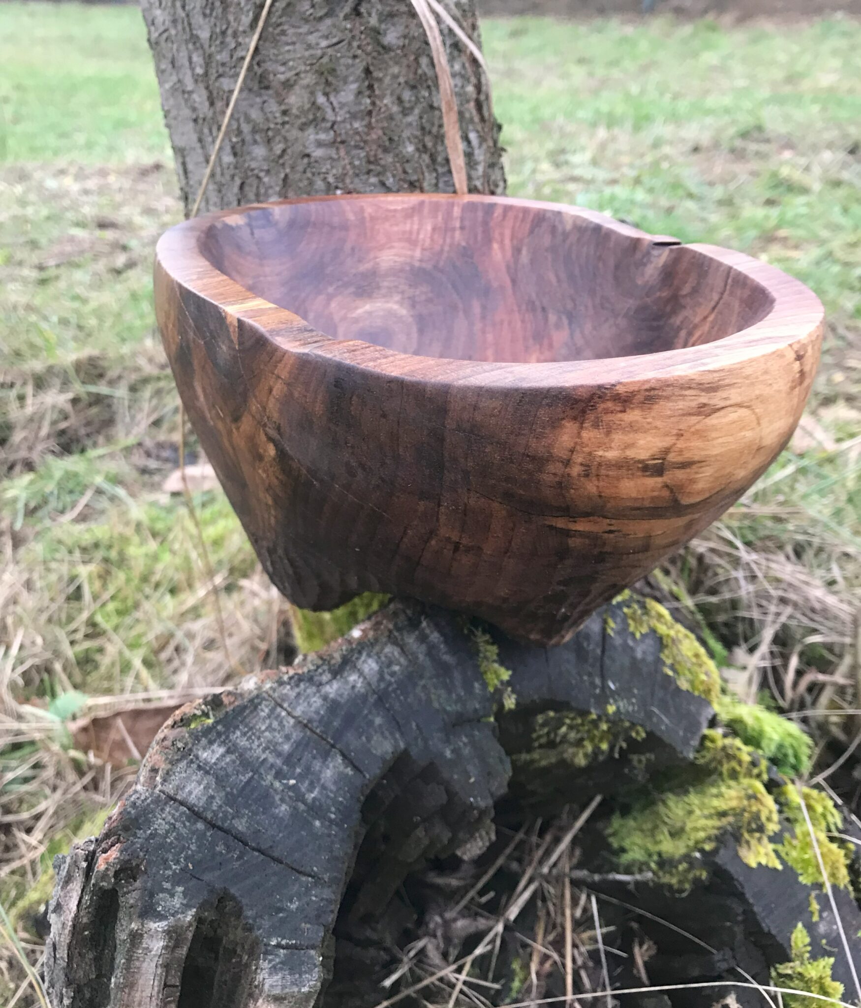 Miska č.8 Ořešák - 2023