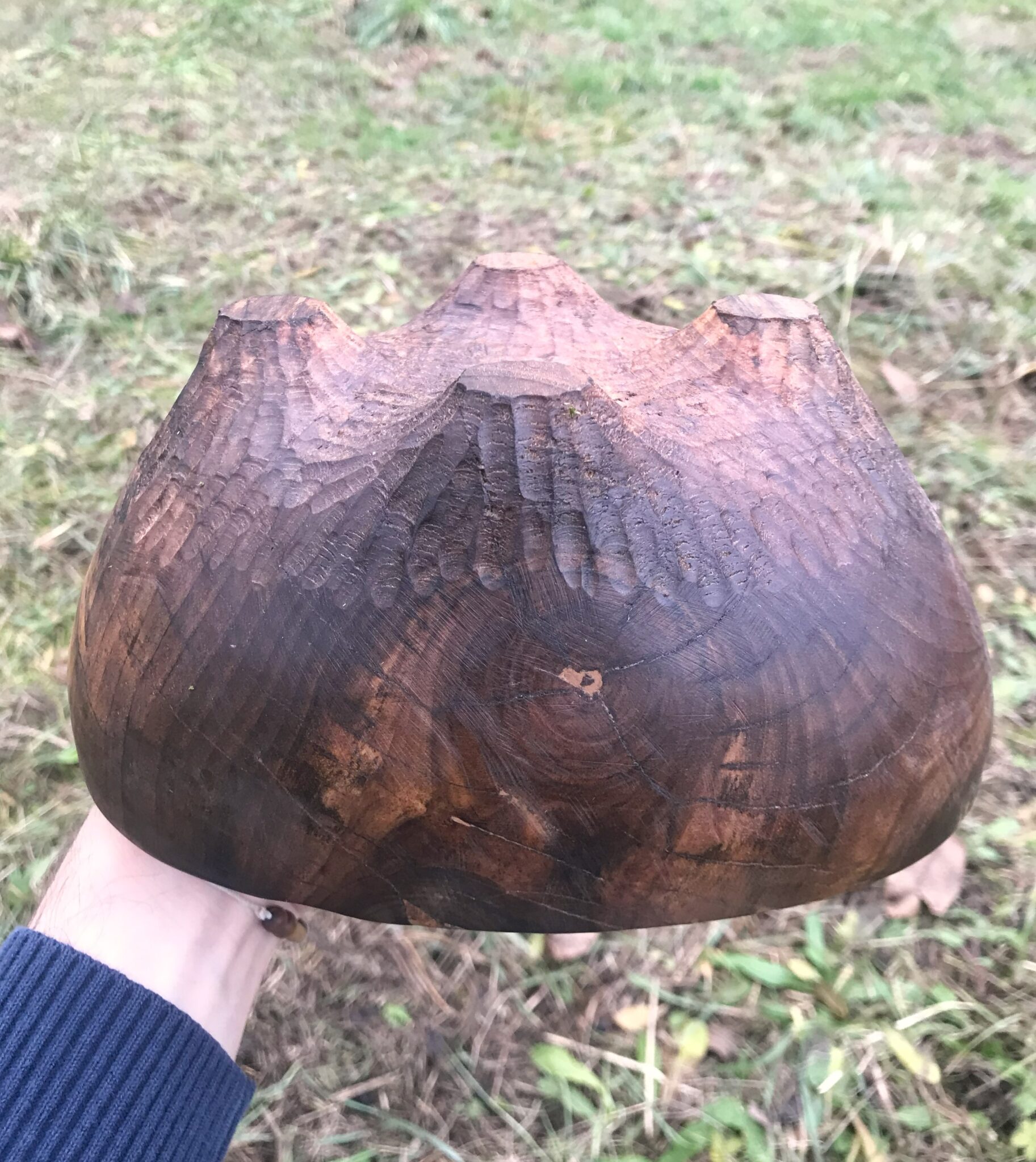 Miska č.8 Ořešák - 2023