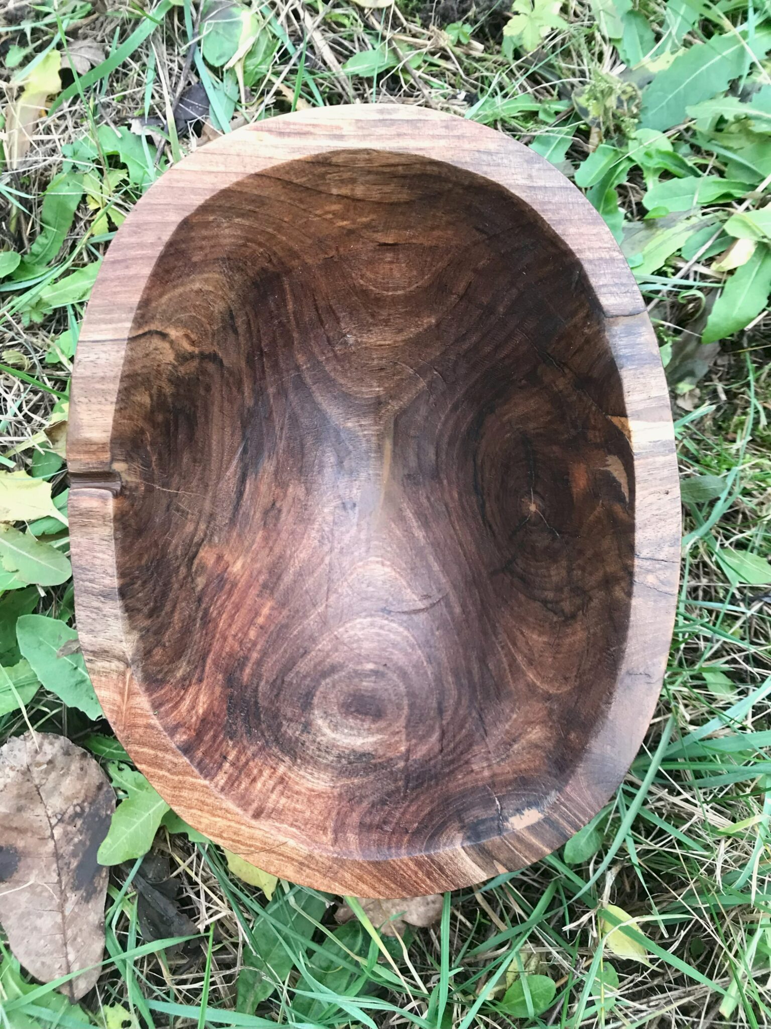 Miska č.8 Ořešák - 2023