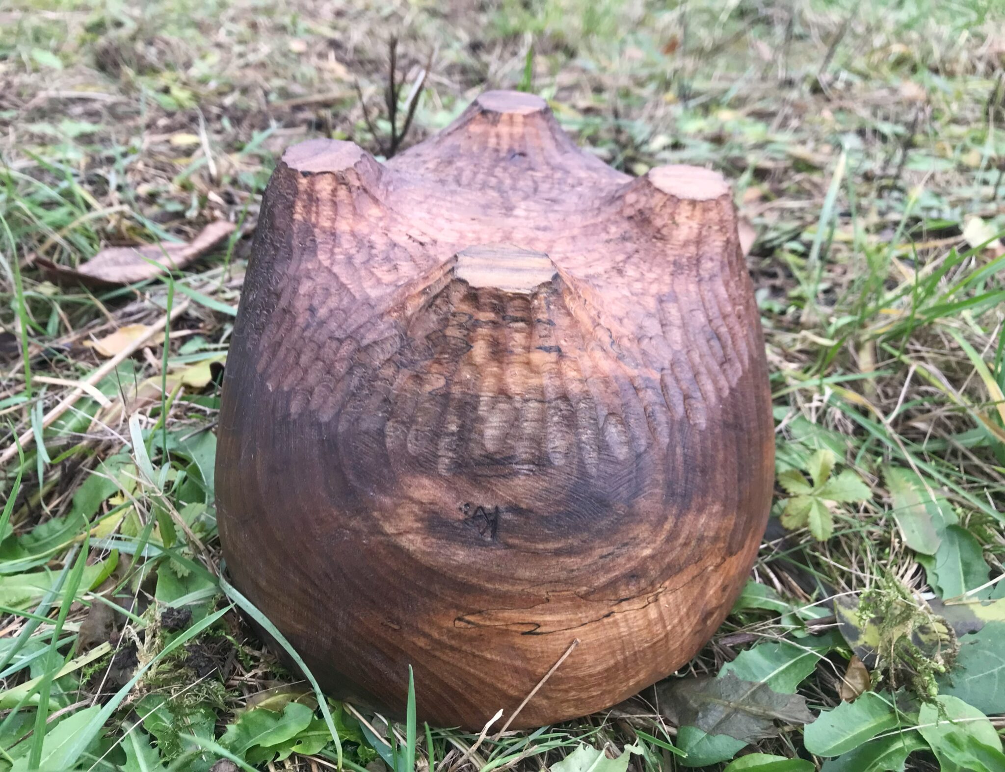 Miska č.8 Ořešák - 2023