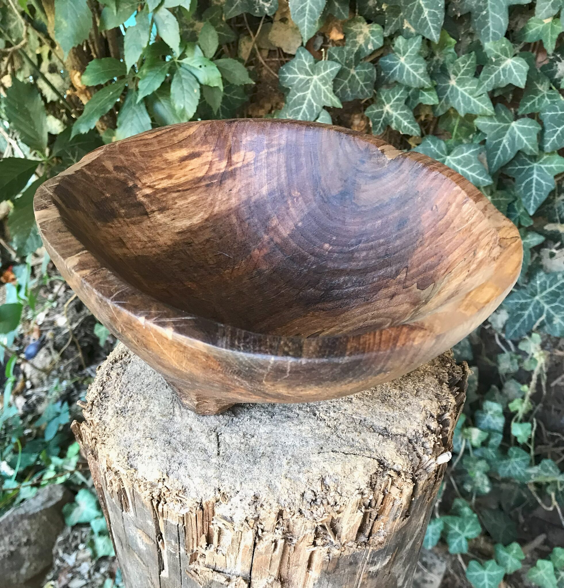 Miska č.11 Ořešák - 2024