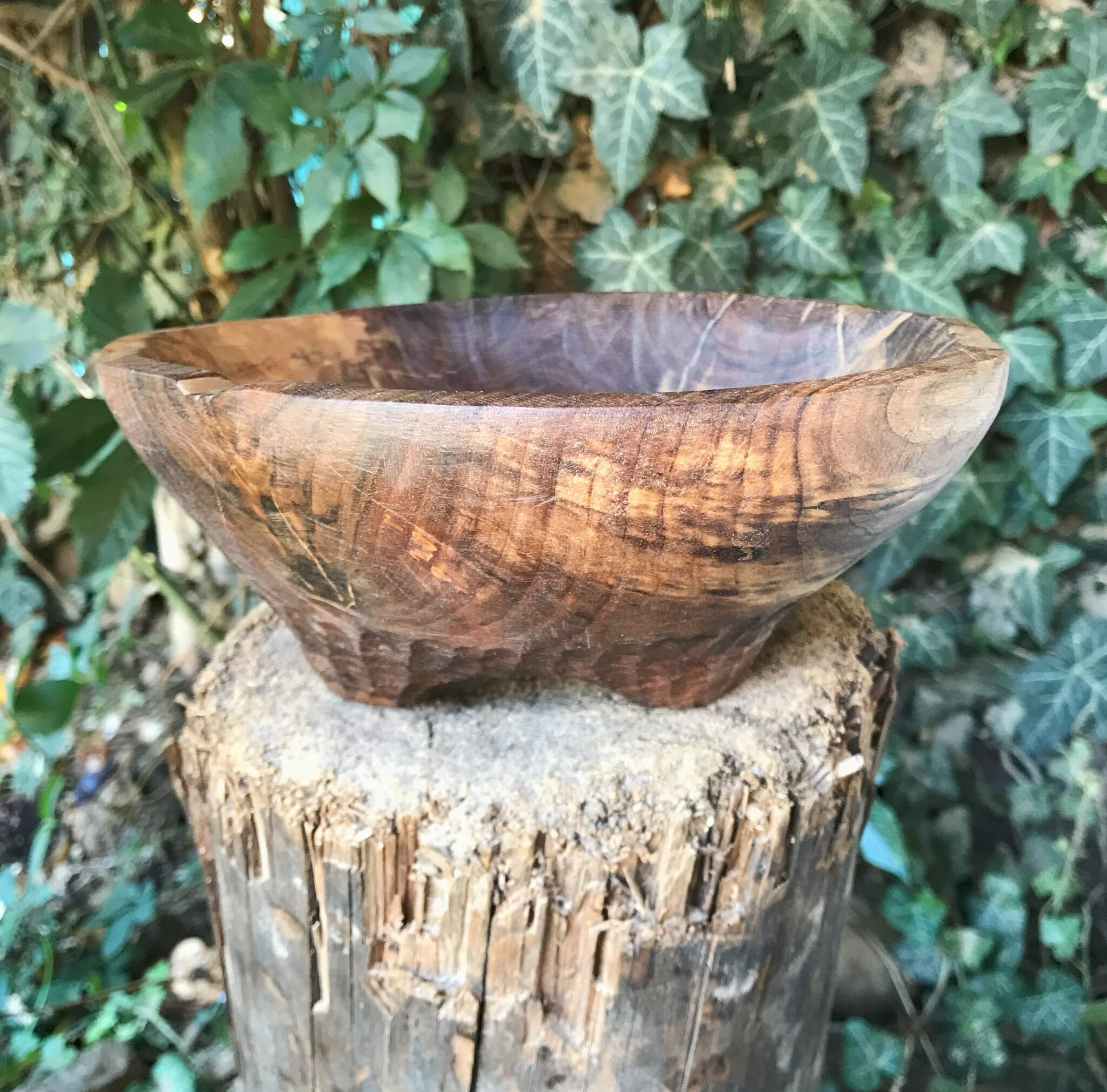 Miska č.11 Ořešák - 2024