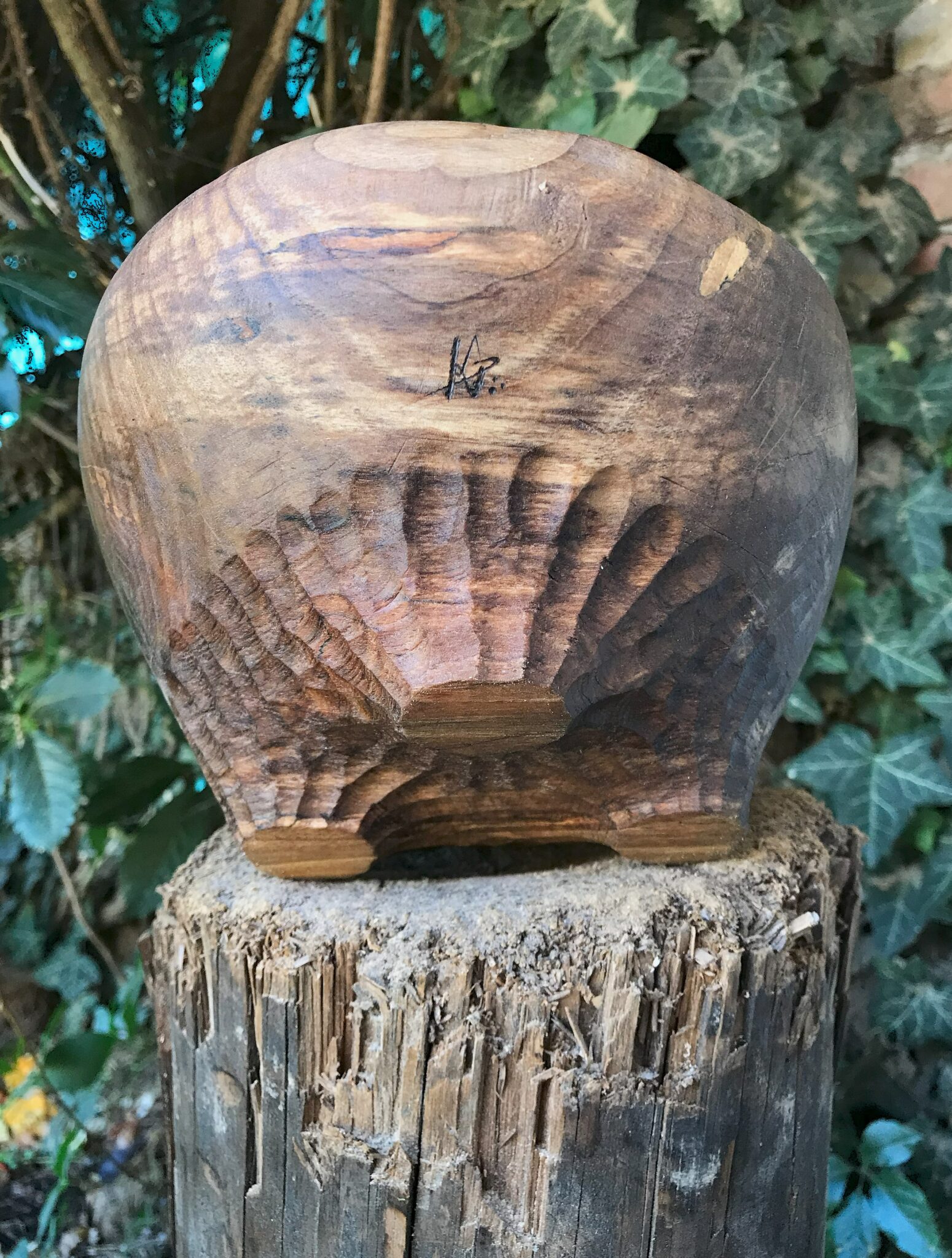 Miska č.11 Ořešák - 2024