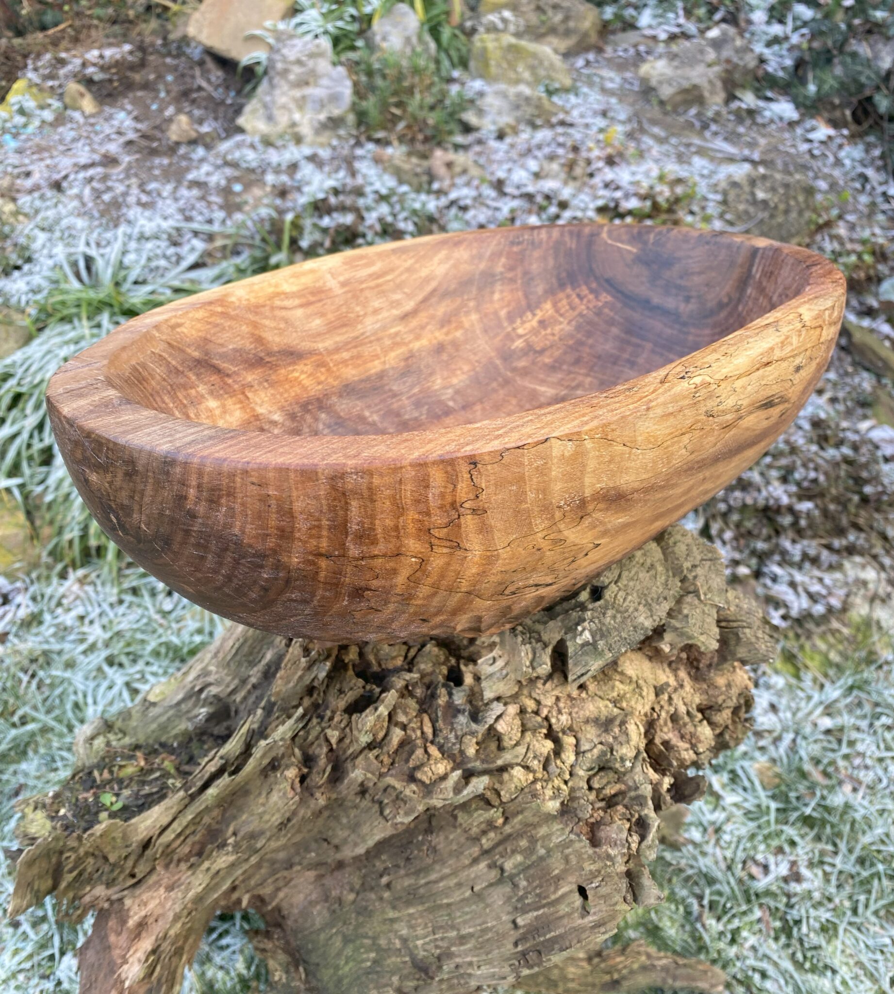 Miska č.12 Ořešák - 2024