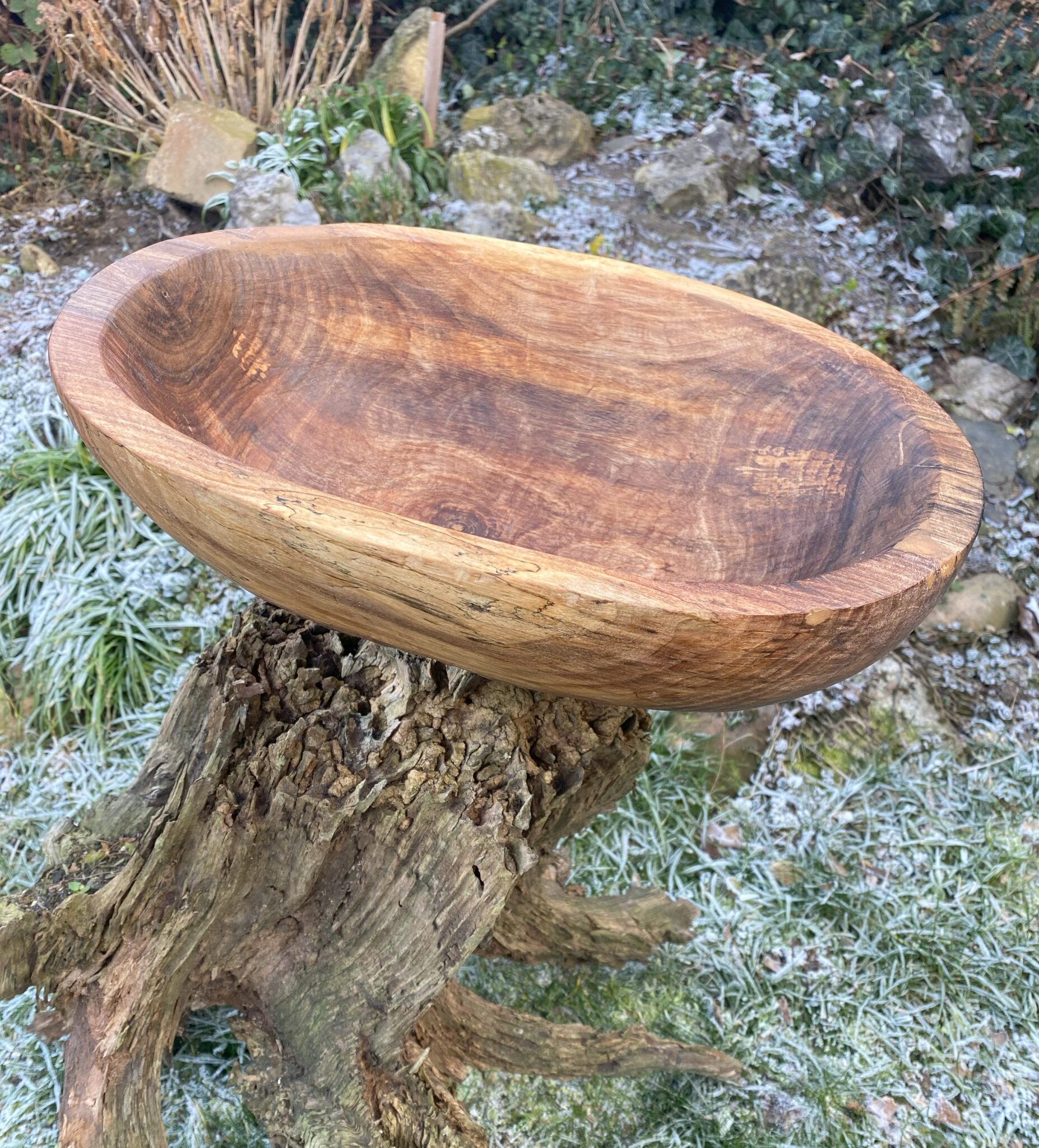 Miska č.12 Ořešák - 2024