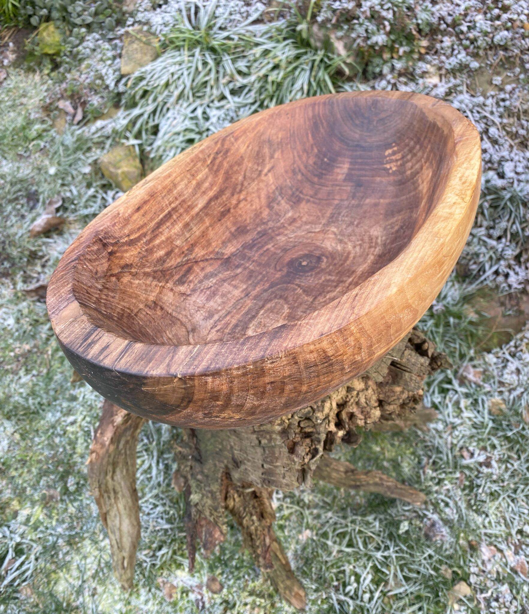 Miska č.12 Ořešák - 2024