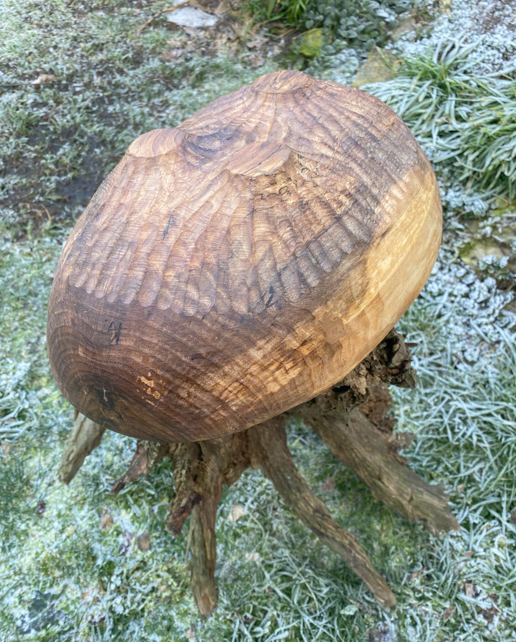 Miska č.12 Ořešák - 2024