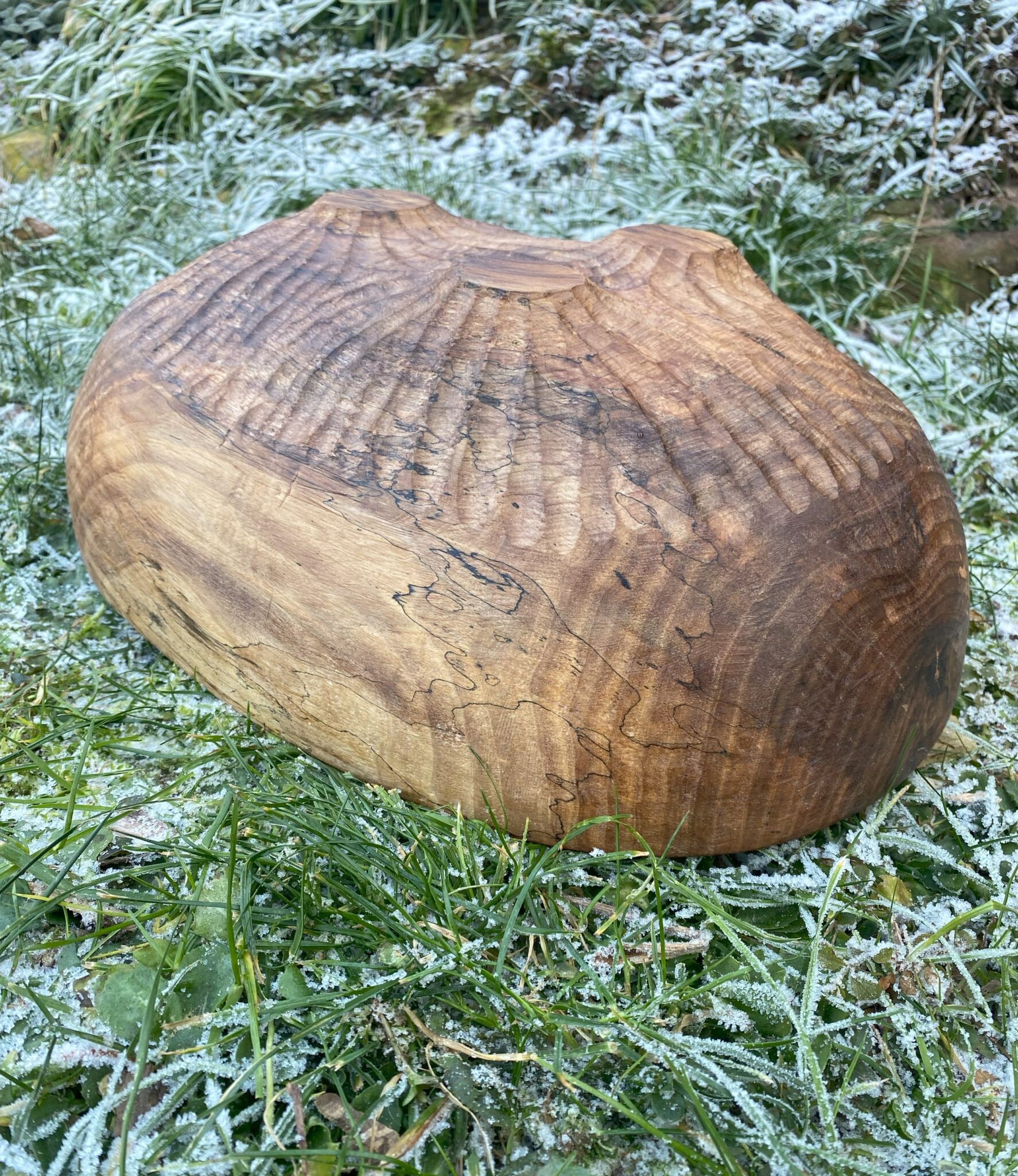 Miska č.12 Ořešák - 2024