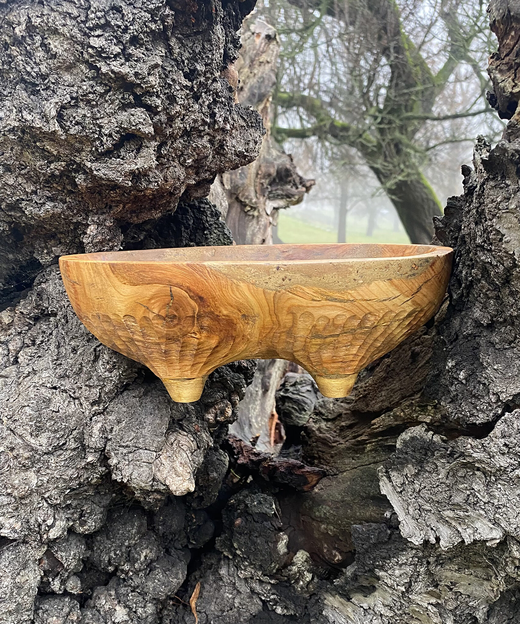 Miska č.13 Třešeň - 2025