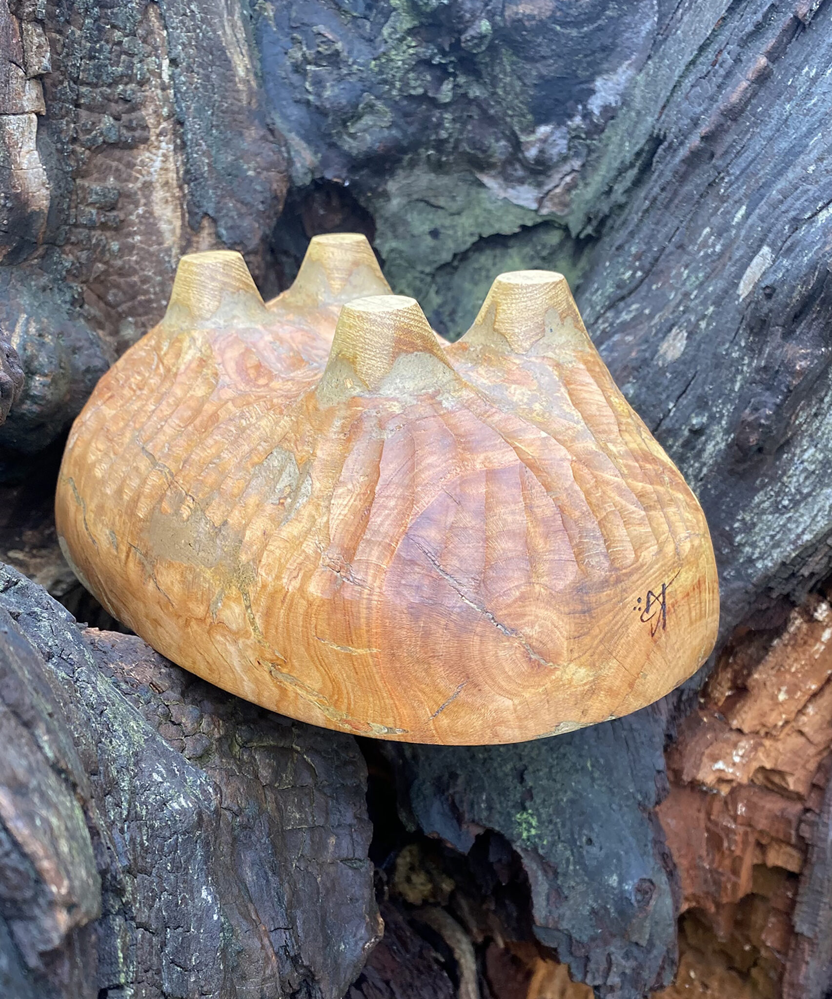 Miska č.13 Třešeň - 2025